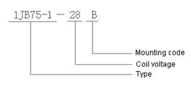 1JB75-1  Magnetism Keep and hermetical relay  series Relays how to order