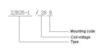 2JB25-1  Magnetism Keep and hermetical relay series Relays how to order